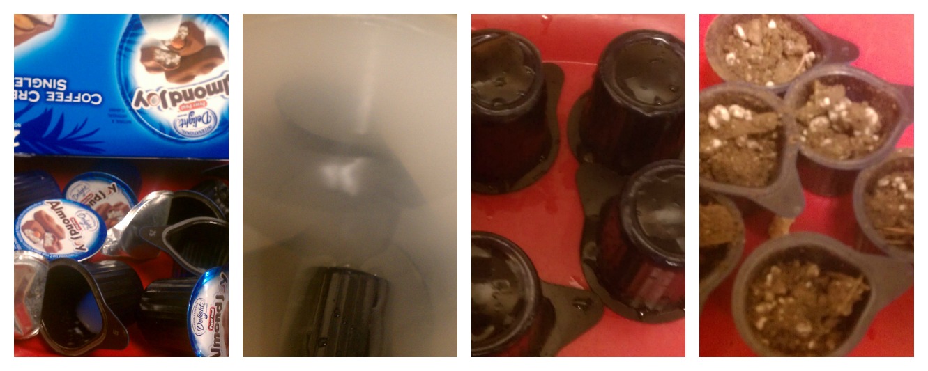 creamer containers