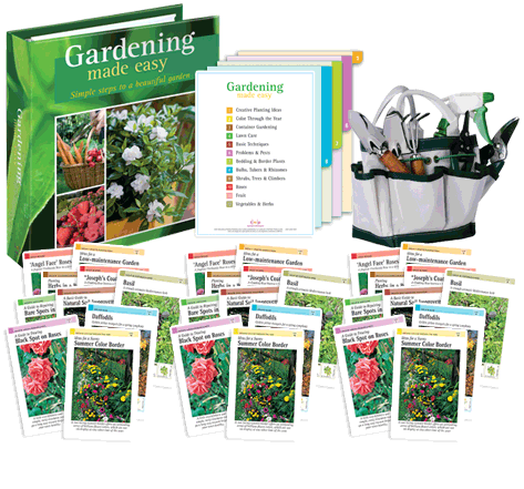 garden 2