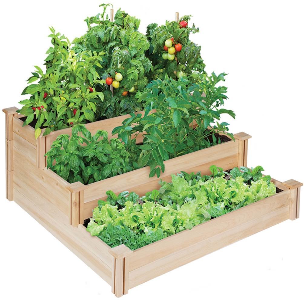 Edible Container Garden Ideas For Small Spaces